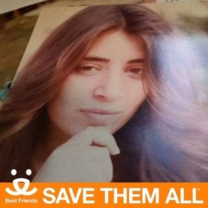 Meet your Posher, Stacey